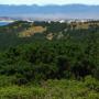 Towards the southern end, the trail opens up for distant views of the Pt. Reyes spit and Chimney Rock.